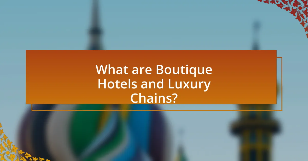 What are Boutique Hotels and Luxury Chains?