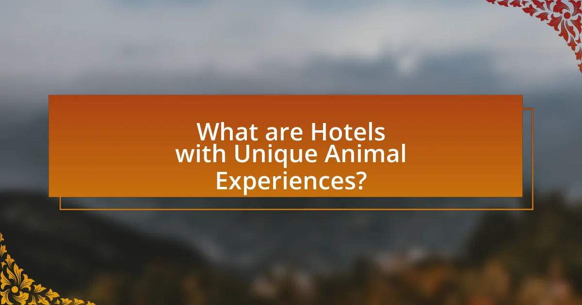 What are Hotels with Unique Animal Experiences?