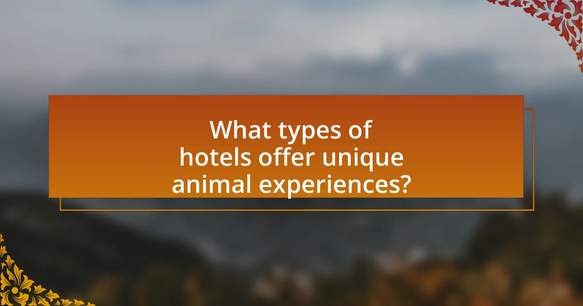 What types of hotels offer unique animal experiences?